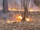 L'incendio nella Valle del Boia a Cavaria con Premezzo