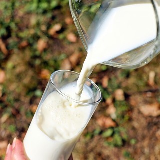 Siglato accordo salva latte italiano. Carra (Coldiretti): «Bene intesa per garantire forniture»
