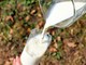 Siglato accordo salva latte italiano. Carra (Coldiretti): «Bene intesa per garantire forniture»