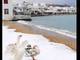 FOTO. Che beffa: neve a Mykonos e da noi ancora nulla dall'8 dicembre...