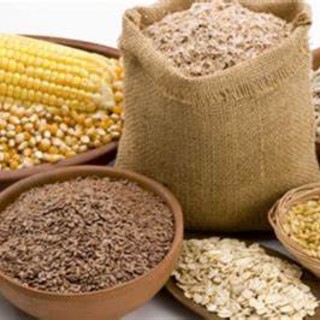 Bene il piano per portare il grano ucraino nella Ue