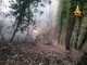 Golasecca, incendio boschivo minaccia due abitazioni: intervengono i vigili del fuoco