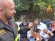 Gatto intrappolato nel vano motore di un'auto davanti a scuola: salvato dai vigili del fuoco