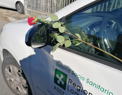 La rosa lasciata sull'auto