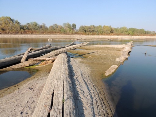 Una recente immagine del fiume Po scattata dal fotoreporter naturalista Paolo Panni nel tratto medio del Po tra le provincie di Cremona e Parma
